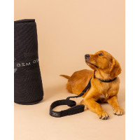 Tapete para cão GEM 60 x 80 cm Caqui Kaki Tapete para cão GEM 60 x 80 cm Caqui Kaki