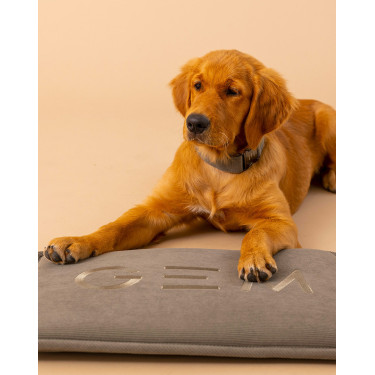 Tapete para cão GEM 40 x 60 cm Caqui Kaki