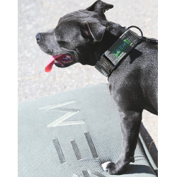 Tapete para cão GEM 40 x 60 cm Caqui Kaki