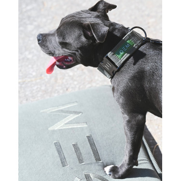 Tapete para cão GEM 40 x 60 cm Caqui Kaki