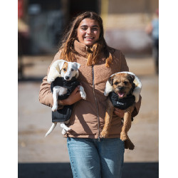 Couverture pour chien GEM