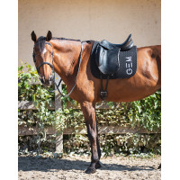 Tapete de dressage GEM Ten Cinza aço Cinzento