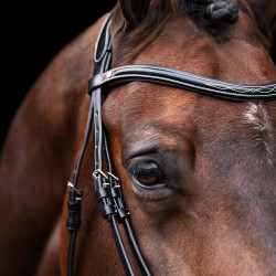 Bridon HV Polo Legacy Preto Bridon HV Polo Legacy Preto