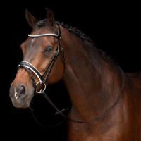 Bridon HV Polo Legacy deluxe Preto branco