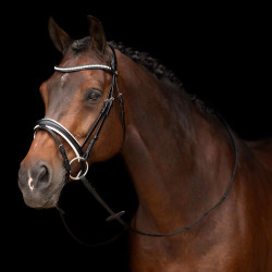 Bridon HV Polo Legacy deluxe Preto branco