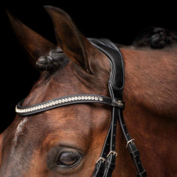 Bridon HV Polo Legacy deluxe Preto branco