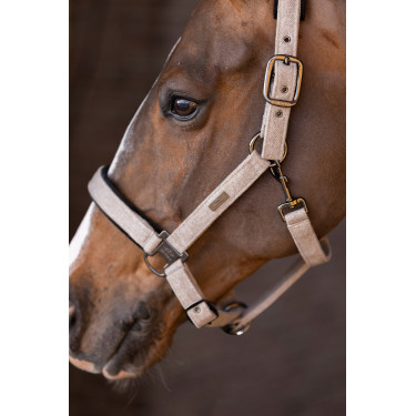 Cabresto HV Polo Francis Cabresto HV Polo Francis