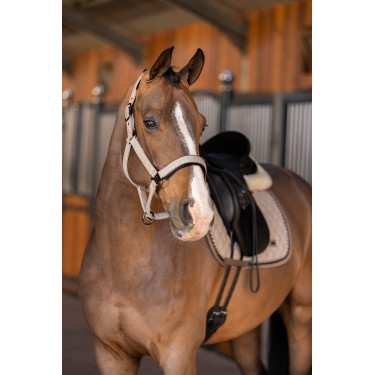 Cabresto HV Polo Francis Cabresto HV Polo Francis