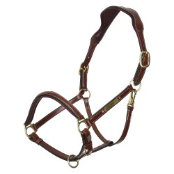 Caveção HV Polo Legacy Castanho