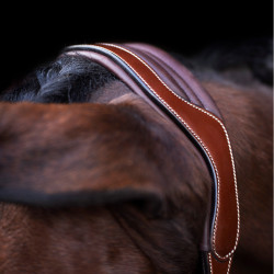 Caveção HV Polo Legacy Castanho