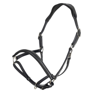 Caveção HV Polo Legacy Preto