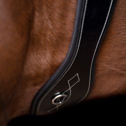 Cinta peitoral HV Polo Legacy Preto Cinta peitoral HV Polo Legacy Preto