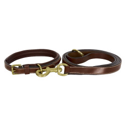 Coleira para cão HV Polo Legacy Castanho
