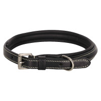 Coleira para cão HV Polo Legacy Preto
