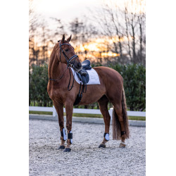 Guetes Imperial Riding Lovely Guetes Imperial Riding Lovely