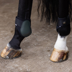 Protetores de boleto Imperial Riding Lovely Floresta profunda Verde