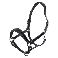 Halster Imperial Riding Hera Preto