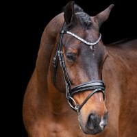 Bridon Imperial Riding Olympia Preto prata Bridon Imperial Riding Olympia Preto prata