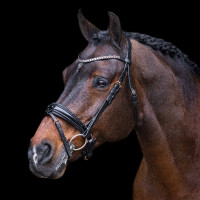 Bridon Imperial Riding Olympia Preto prata Bridon Imperial Riding Olympia Preto prata