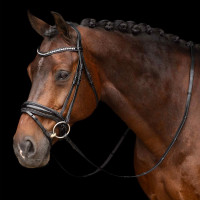 Bridon Impérial Riding Athena Preto Bridon Impérial Riding Athena Preto