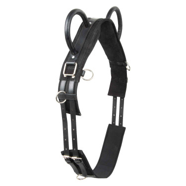 Cilindro de volteio Imperial Riding Vidal Cilindro de volteio Imperial Riding Vidal