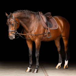 Enrêno elástico Imperial Riding Castanho