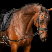 Enrêno elástico Imperial Riding Castanho Enrêno elástico Imperial Riding Castanho