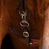 Rendas alemãs SH Imperial Riding Core Castanho