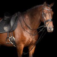 Rendas alemãs SH Imperial Riding Core Castanho Rendas alemãs SH Imperial Riding Core Castanho