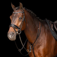 Martingale Imperial Riding Core Castanho