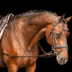 Enrêno Imperial Riding Core Castanho