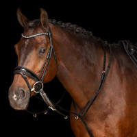 Enrêne Thiedemann Imperial Riding Core Preto