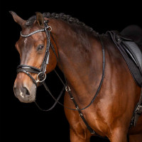 Chambon Imperial Riding Core Preto Chambon Imperial Riding Core Preto