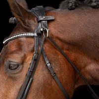 Chambon Imperial Riding Core Preto Chambon Imperial Riding Core Preto