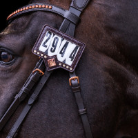 Porta-número para manta de sela Imperial Riding Show and Glow Marrom / croco marrom