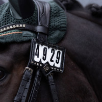 Porta-número para manta de sela Imperial Riding Show and Glow Marrom / croco marrom