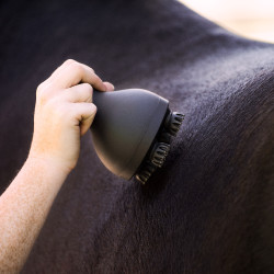 Massagegerät für Pferde Imperial Riding Volta Grooming & Relaxation Preto