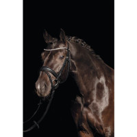 Bridon Bella HKM Preto Bridon Bella HKM Preto