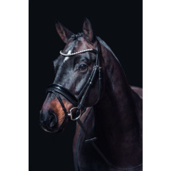 Bridon Fleur HKM Preto Bridon Fleur HKM Preto