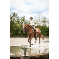 Boné anti-moscas Lavender Bay HKM  Cinzento-acastanhado Castanho Boné anti-moscas Lavender Bay HKM  Cinzento-acastanhado Castanho