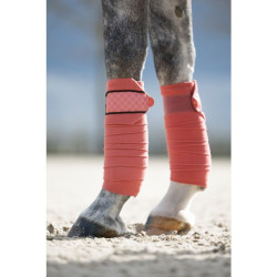 Bandagens de polo Rosewood HKM Ferrugem Castanho