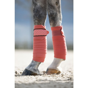 Bandagens de polo Rosewood HKM Bandagens de polo Rosewood HKM