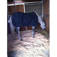 Tapete principal - Piso de...