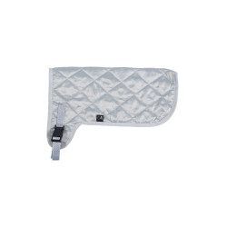 Capa Hobby Horsing HKM