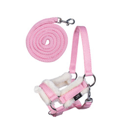 Cabresto e guia Hobby Horsing HKM Cabresto e guia Hobby Horsing HKM