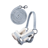 Cabresto e guia Hobby Horsing HKM Rosa