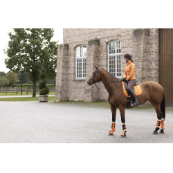 Tapete Allure Cavalo HKM Tapete Allure Cavalo HKM