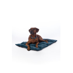 Tapete para cão Anam Cara Travel HKM