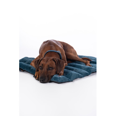 Tapete para cão Anam Cara Travel HKM Tapete para cão Anam Cara Travel HKM