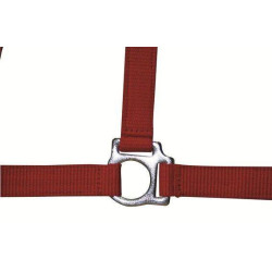 Licol Stars Economy HKM Vermelho